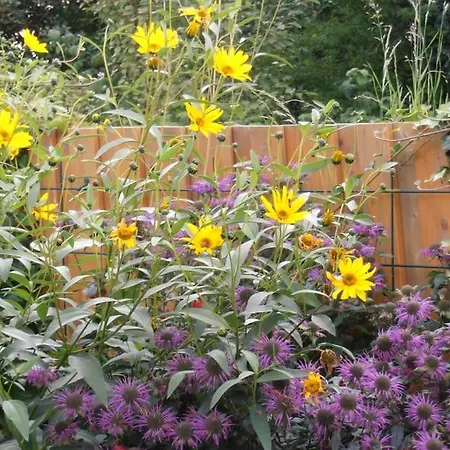 Appartement Auszeit 1 Harschbach