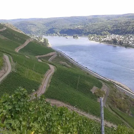 Auszeit 1 Appartement Harschbach