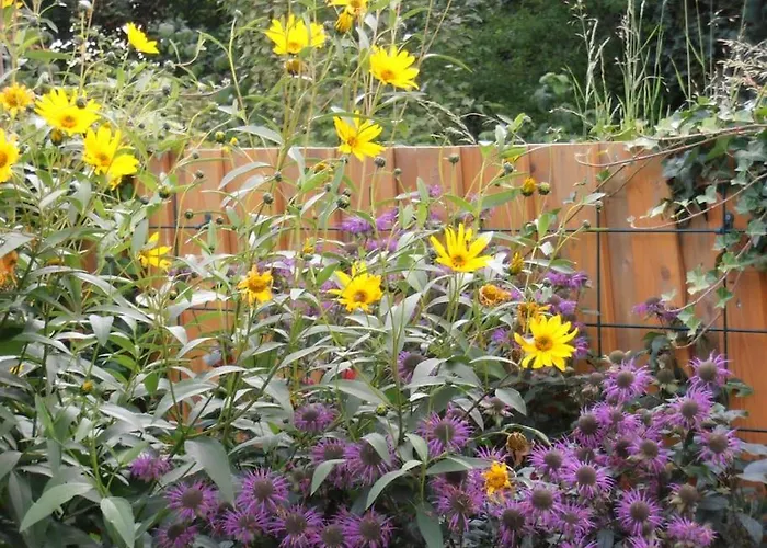 Apartment Auszeit 1 Harschbach